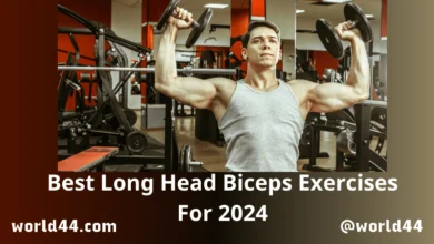Best Long Head Biceps Exercises For 2024