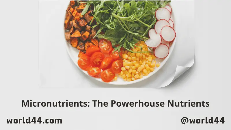 Micronutrients: The Powerhouse Nutrients